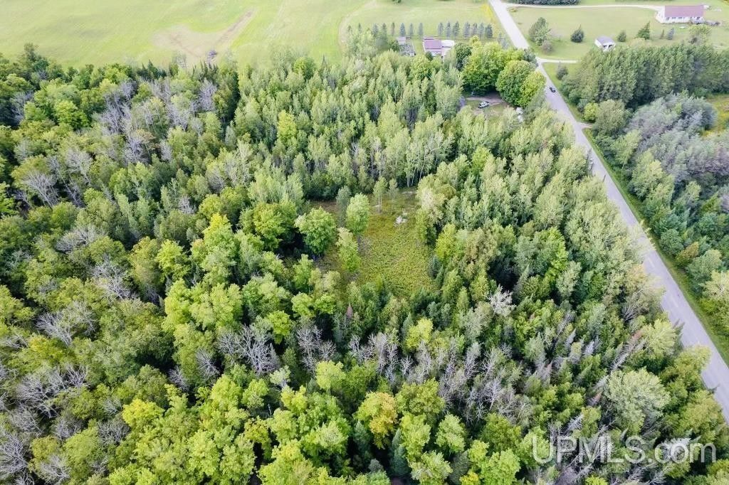 Wells, Delta County, MI Undeveloped Land, Homesites for sale Property