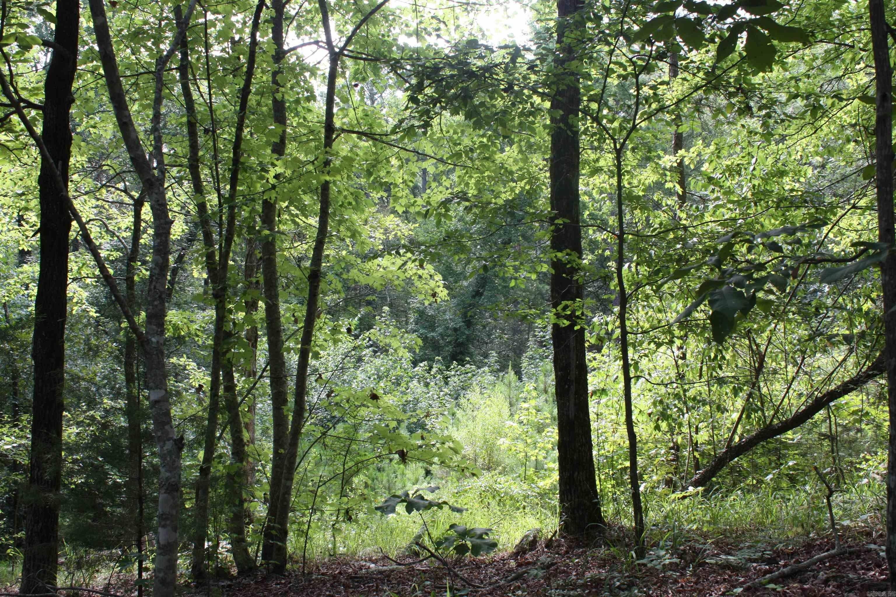 Mayflower, Faulkner County, AR Undeveloped Land for sale Property ID