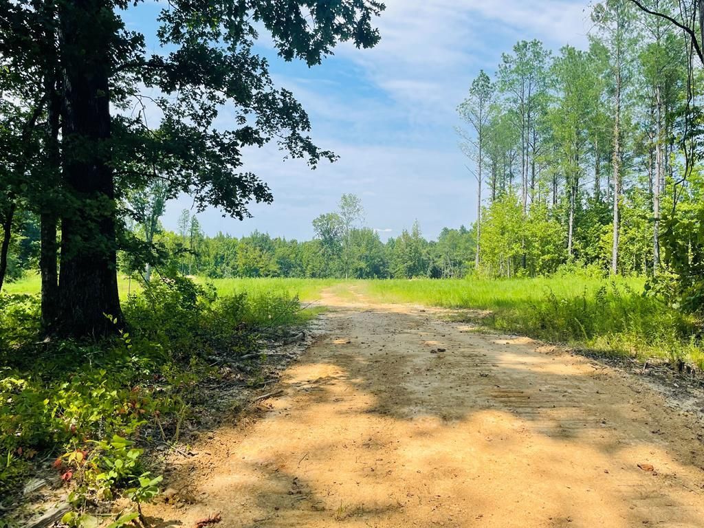 Oxford, Lafayette County, MS Undeveloped Land for sale Property ID