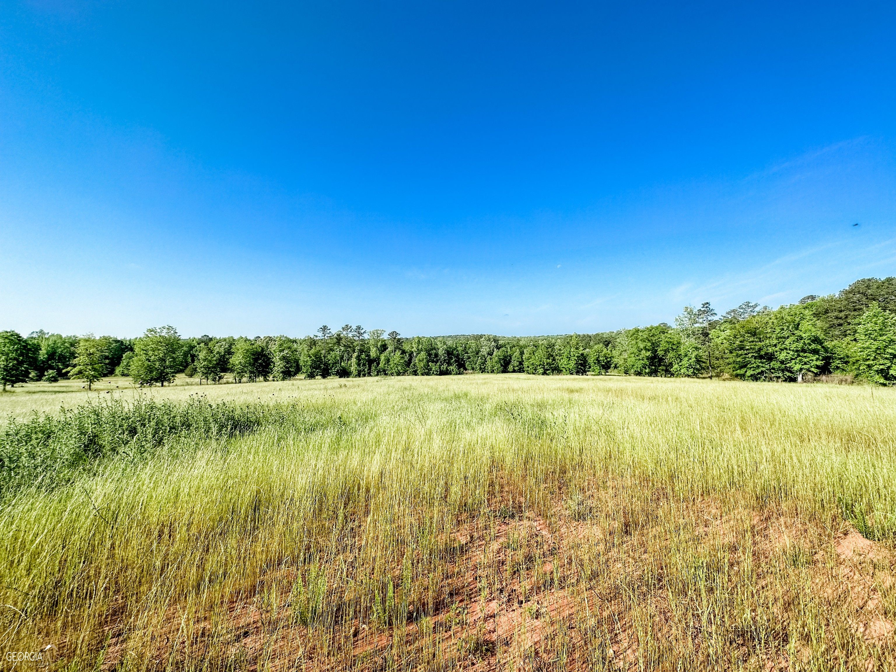 Monticello, Jasper County, GA Farms and Ranches for sale Property ID