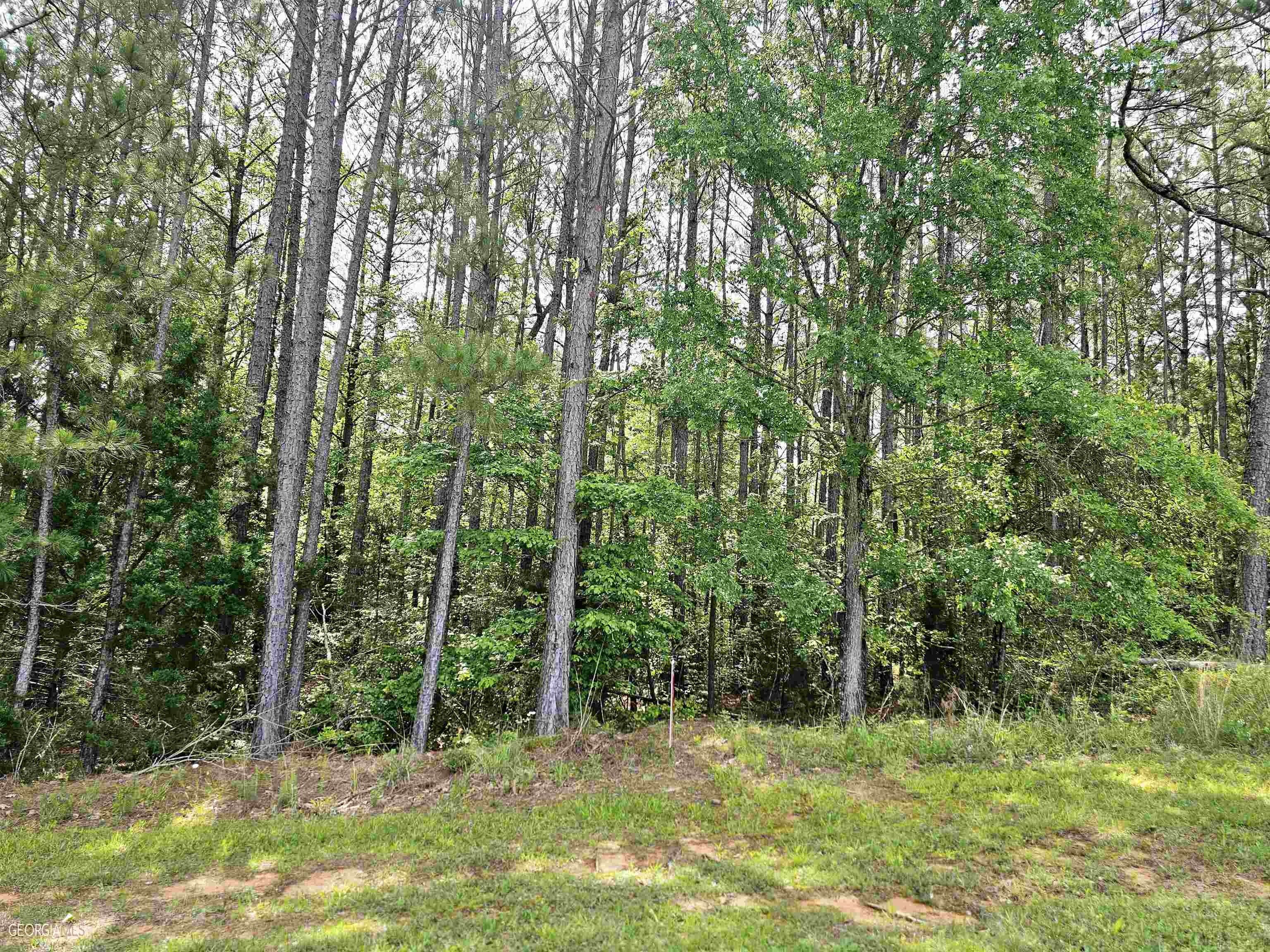 Franklin, Heard County, GA Undeveloped Land, Homesites for sale
