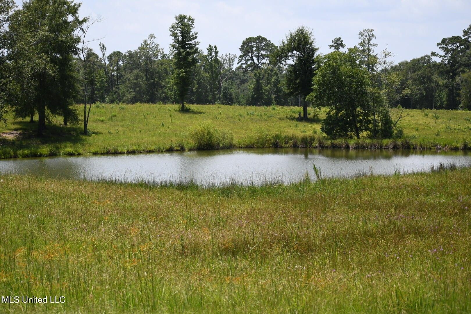 Wiggins, Stone County, MS Farms and Ranches for sale Property ID