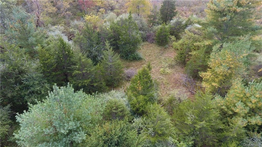 Wurtsboro, Sullivan County, NY Undeveloped Land, Homesites for sale