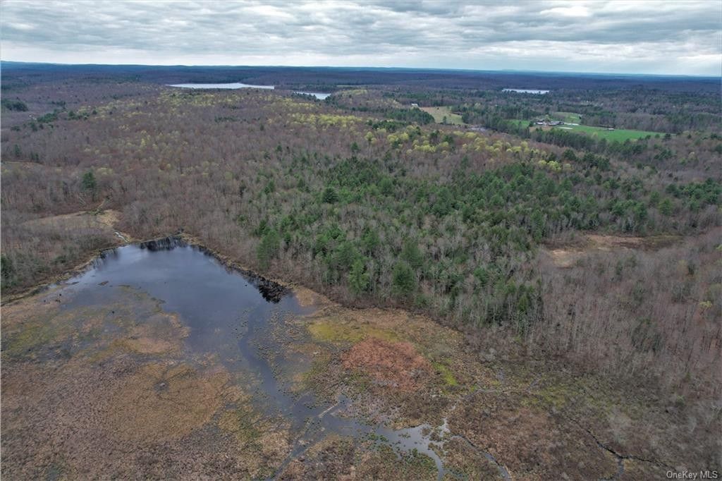 Bethel, Sullivan County, NY Undeveloped Land, Lakefront Property