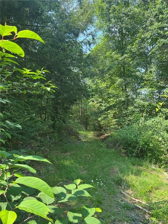 Wurtsboro, Sullivan County, NY Undeveloped Land for sale Property ID