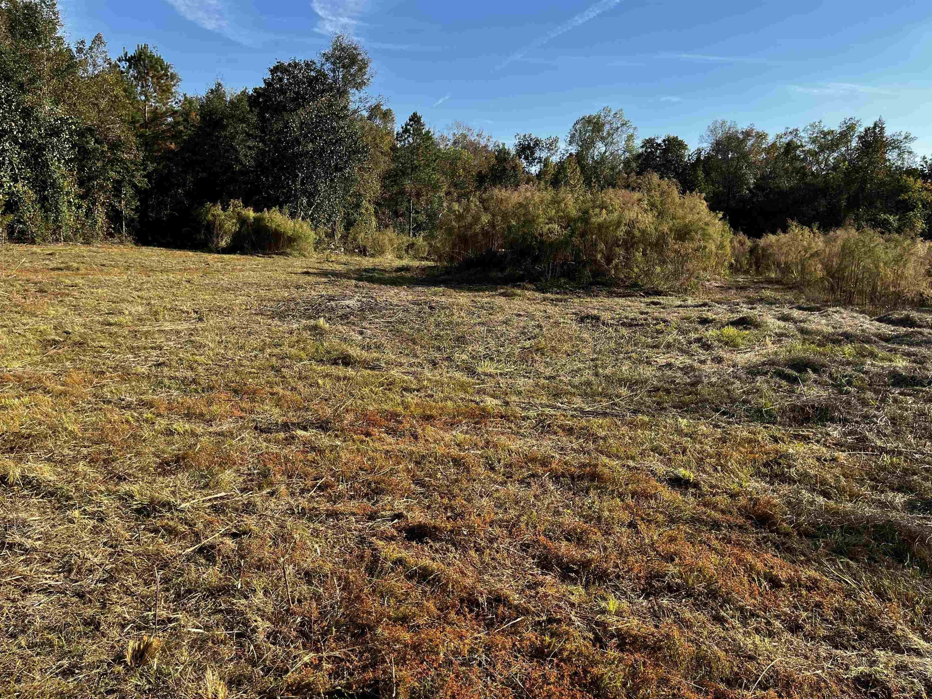 Havana, Gadsden County, FL Farms and Ranches for sale Property ID