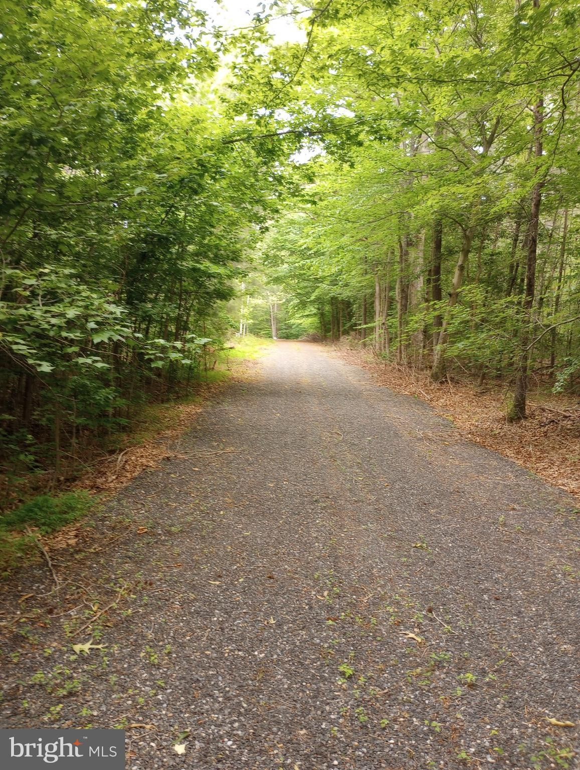 Nanjemoy, Charles County, MD Undeveloped Land for sale Property ID