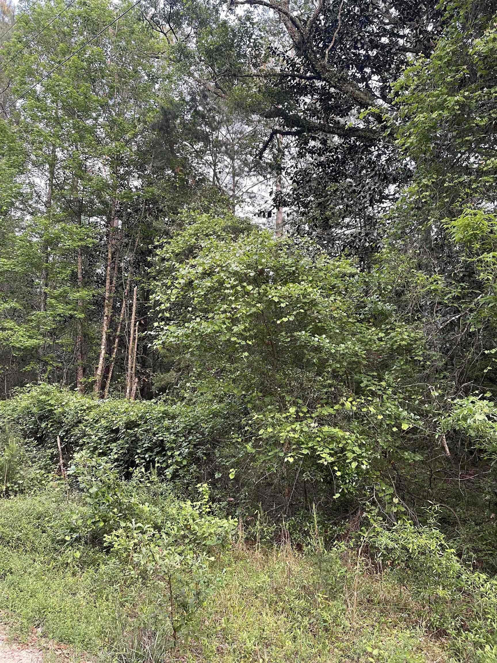 Greenville, Jefferson County, FL Undeveloped Land for sale Property ID 417103385 LandWatch