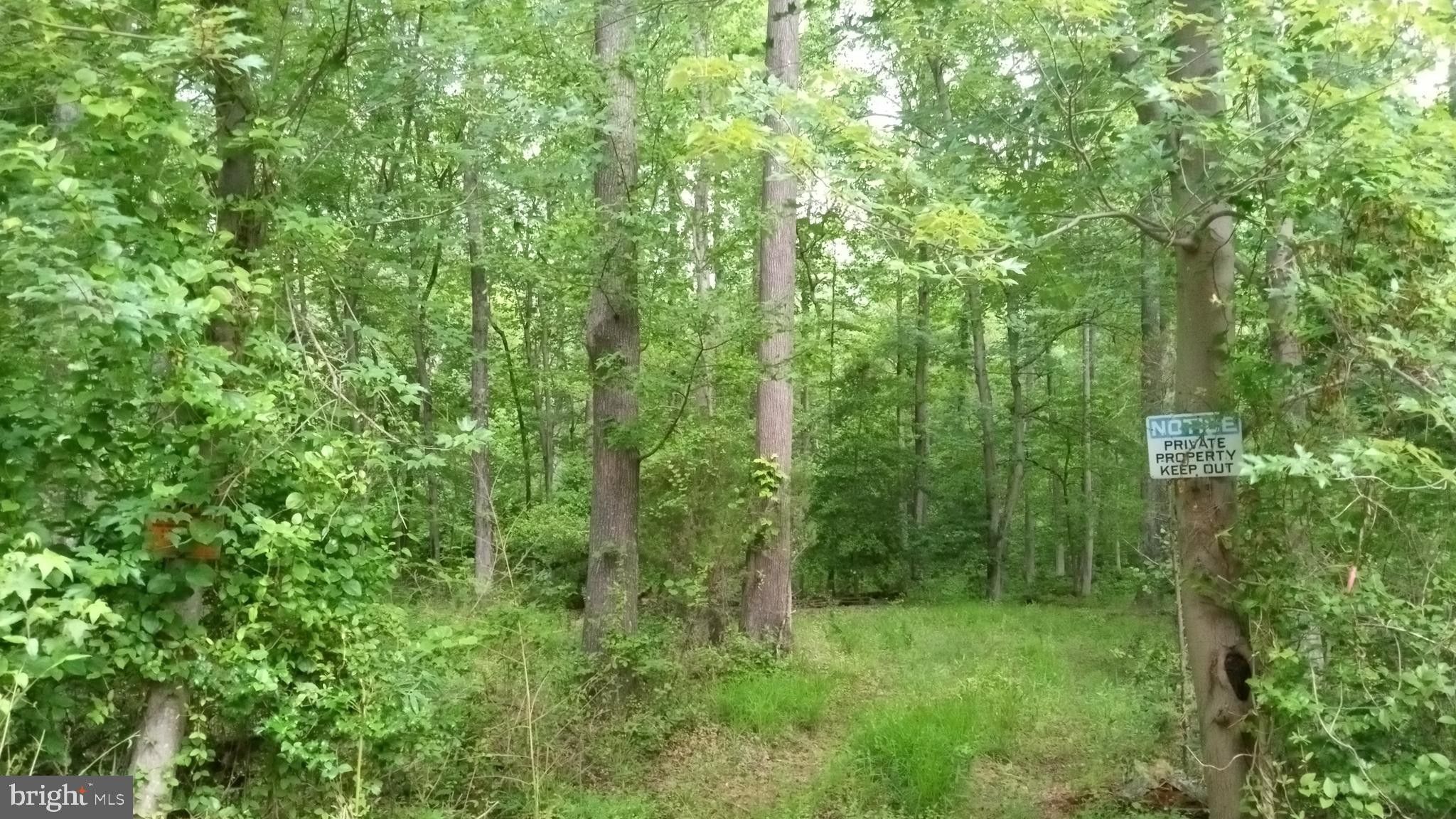 Medford, Burlington County, NJ Undeveloped Land for sale Property ID