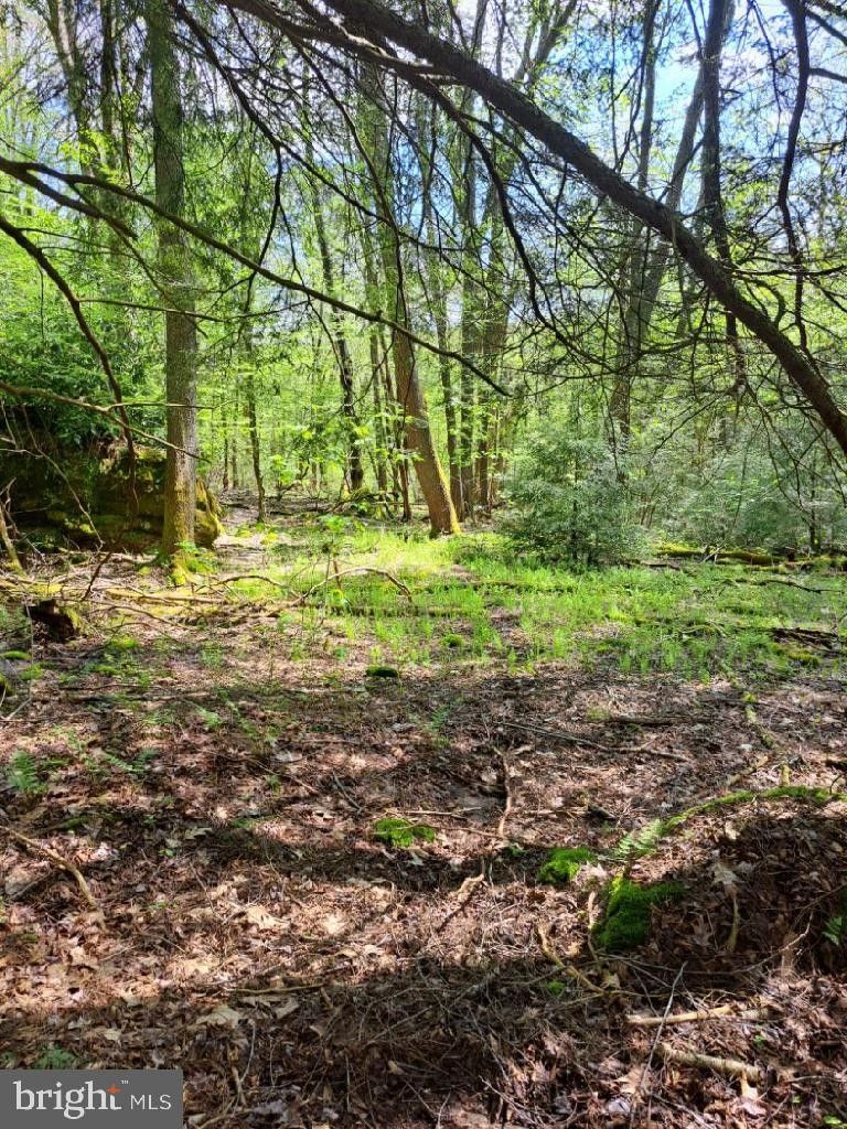 Oakland, Garrett County, MD Undeveloped Land, Lakefront Property