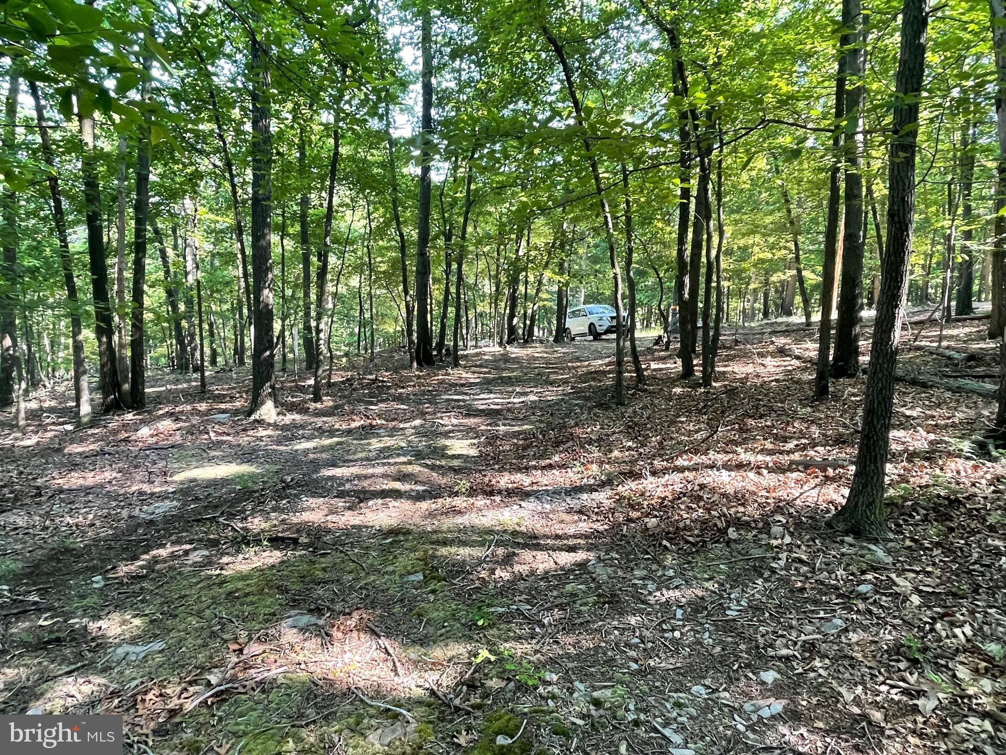 0 ASCENSION DRIVE, Hedgesville, WV 25427 MLS WVBE2019198 LandWatch