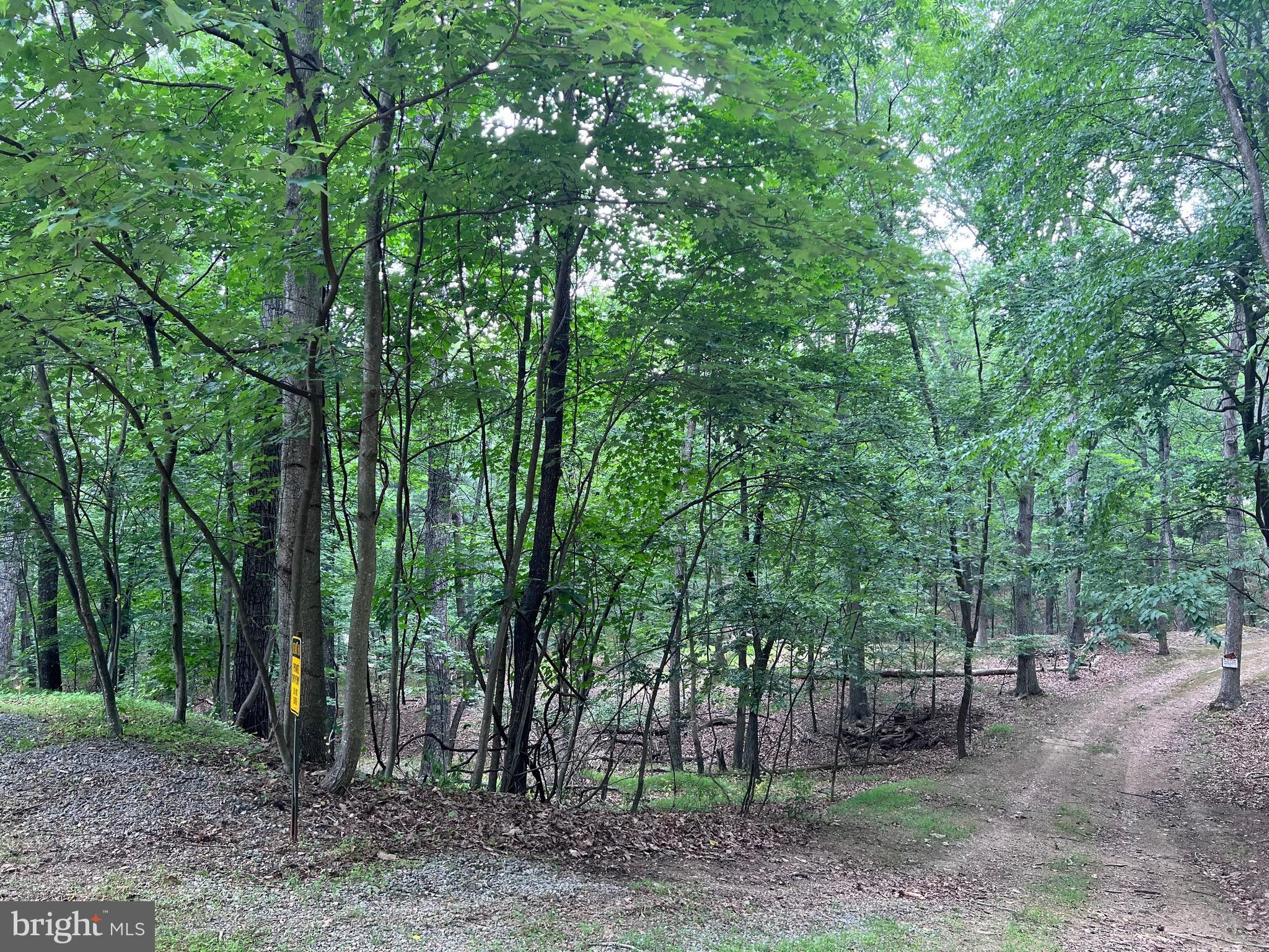 Berkeley Springs, County, WV Undeveloped Land for sale Property