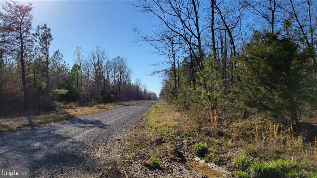 Culpeper, Culpeper County, VA Undeveloped Land for sale Property ID