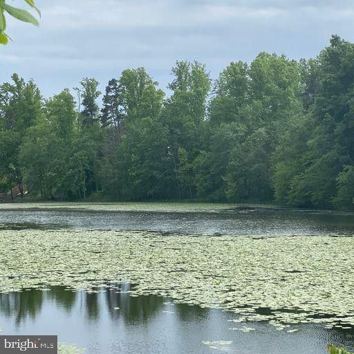 Gordonsville, Louisa County, VA Undeveloped Land, Lakefront Property