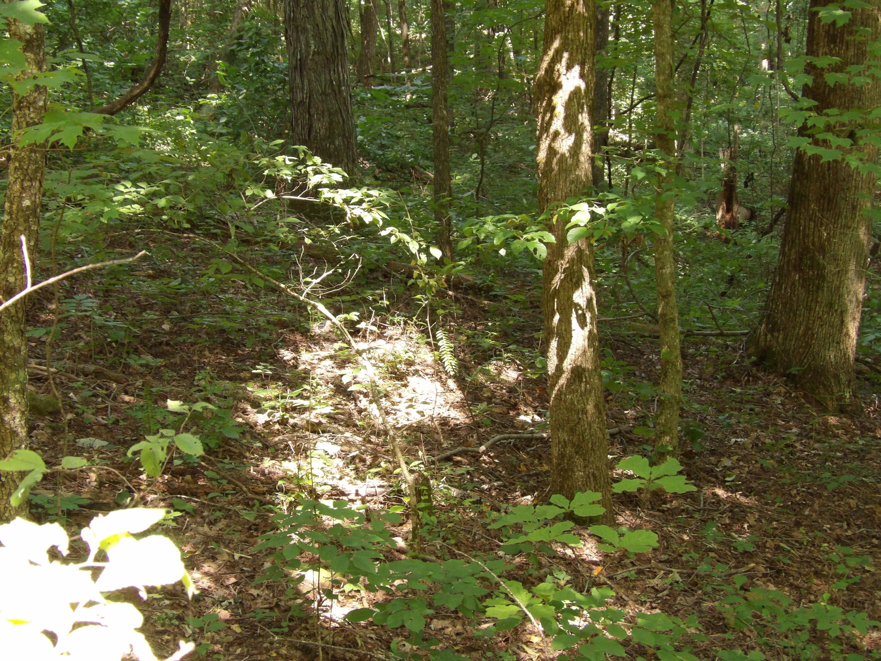 Pikeville, Bledsoe County, TN Homesites for sale Property ID 415686986