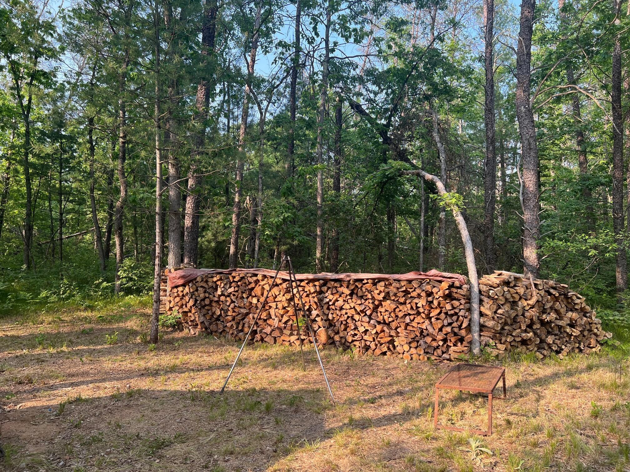 Baldwin, Lake County, MI Undeveloped Land, Homesites for sale Property