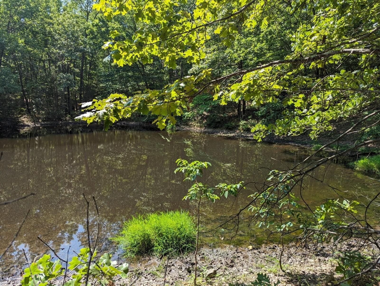 Clarkridge, Baxter County, AR Farms and Ranches for sale Property ID