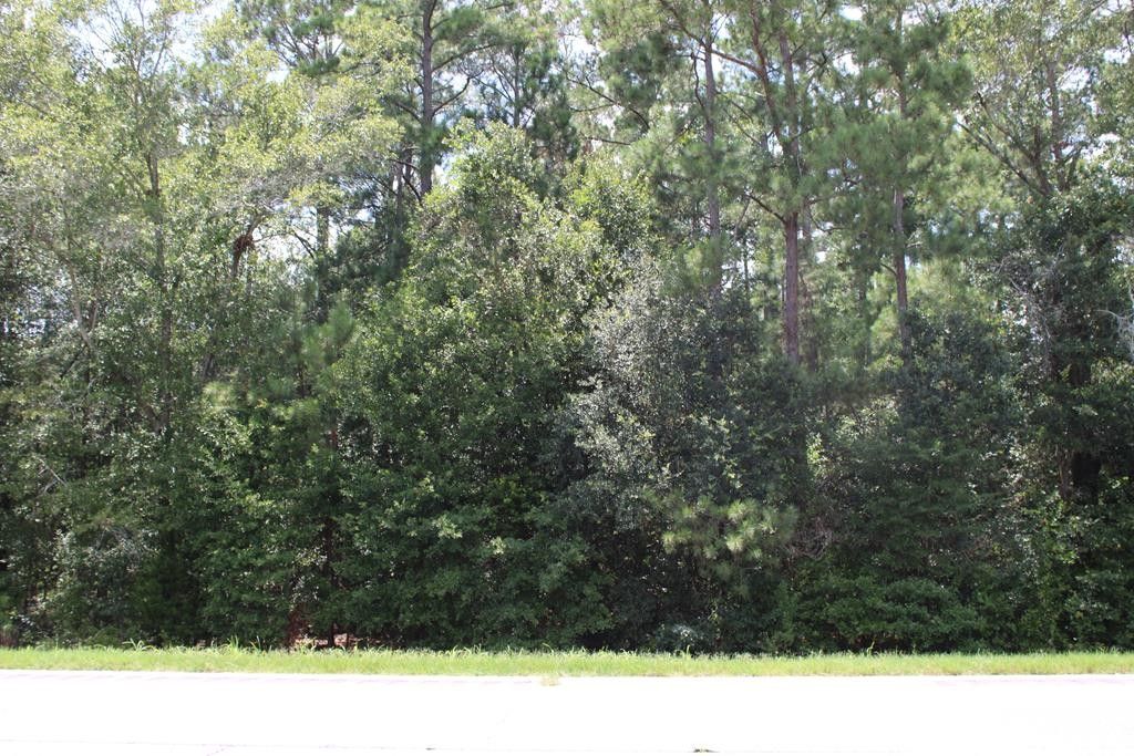 Albany, Dougherty County, GA Commercial Property for sale Property ID