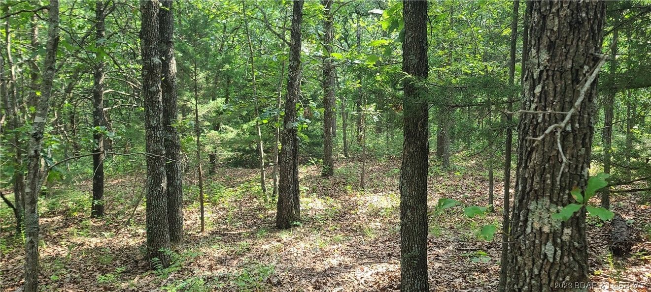 Eldon, Miller County, MO Farms and Ranches for sale Property ID