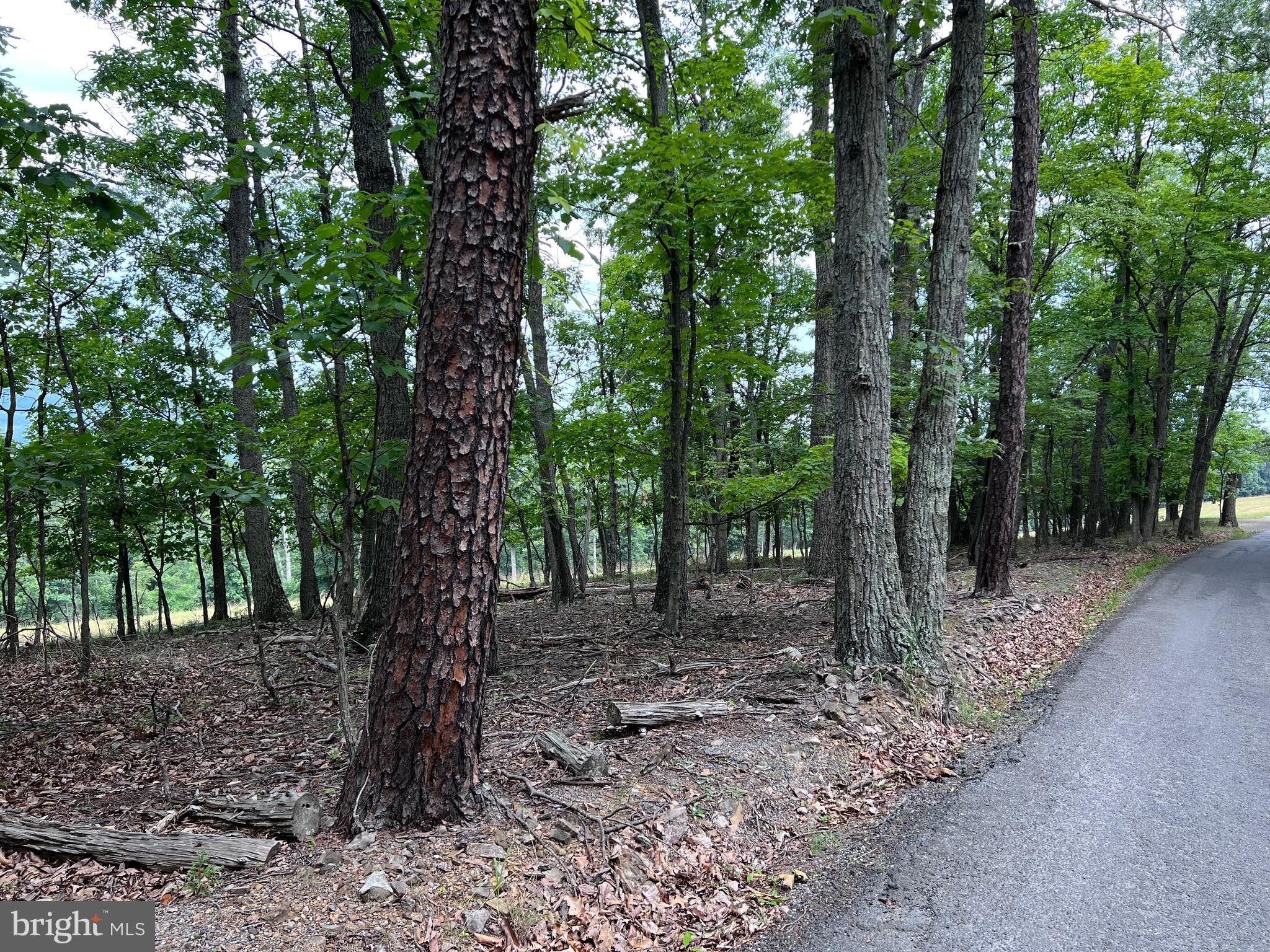 Berkeley Springs, County, WV Undeveloped Land, Homesites for