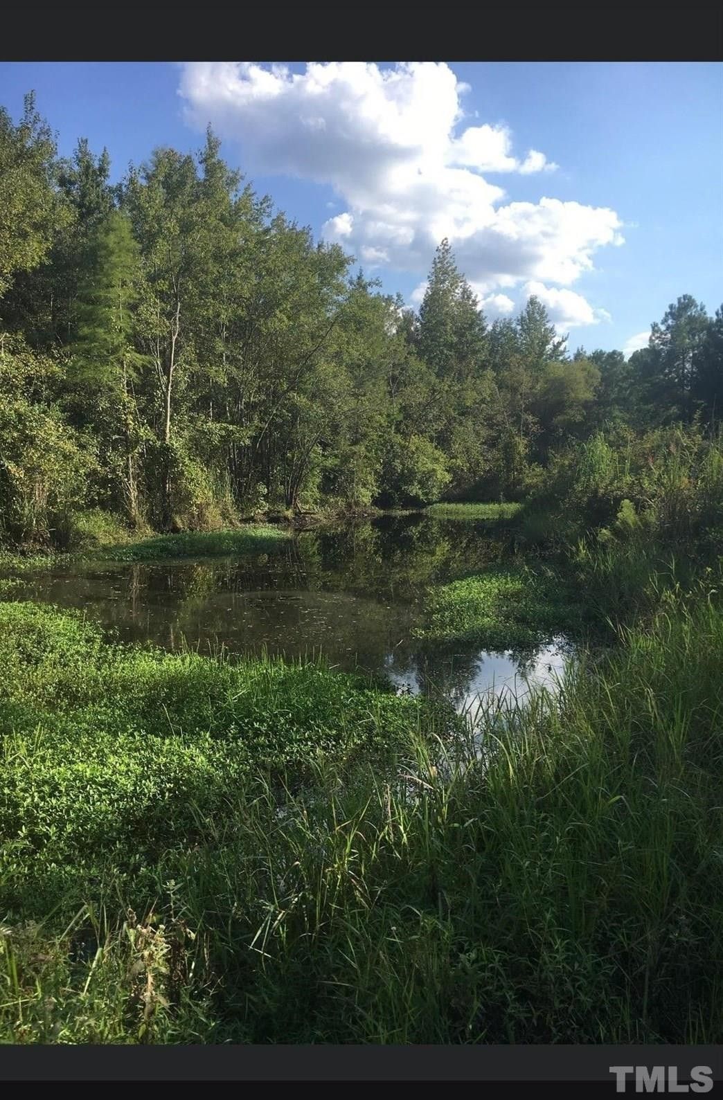 Saint Pauls, Robeson County, NC Undeveloped Land for sale Property ID