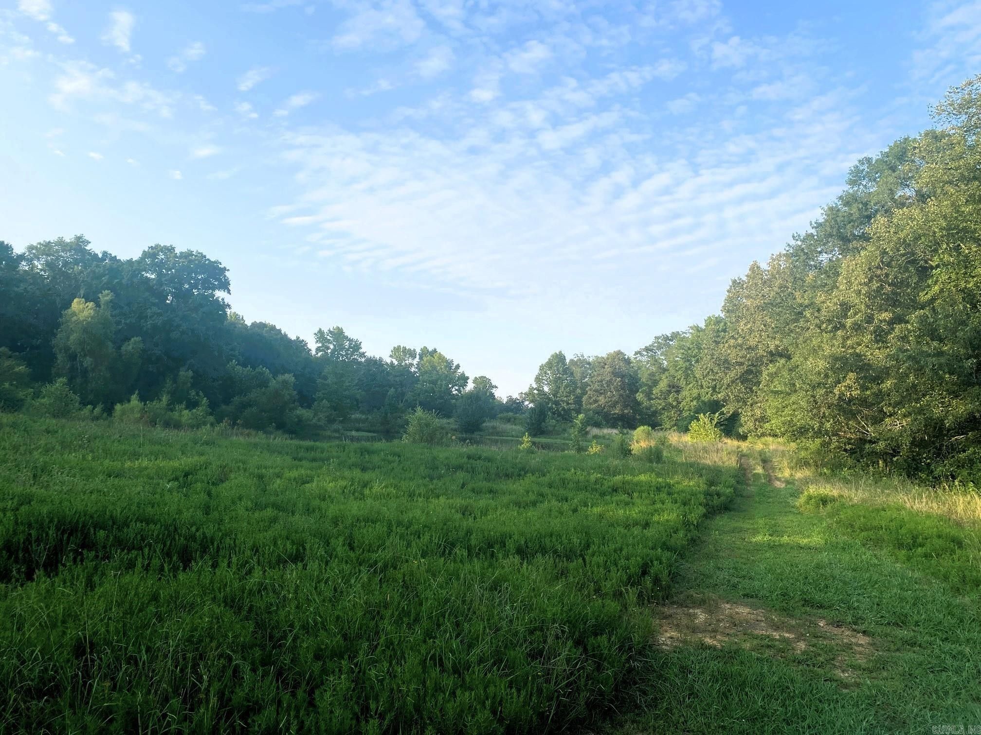 Beebe, White County, AR Undeveloped Land for sale Property ID