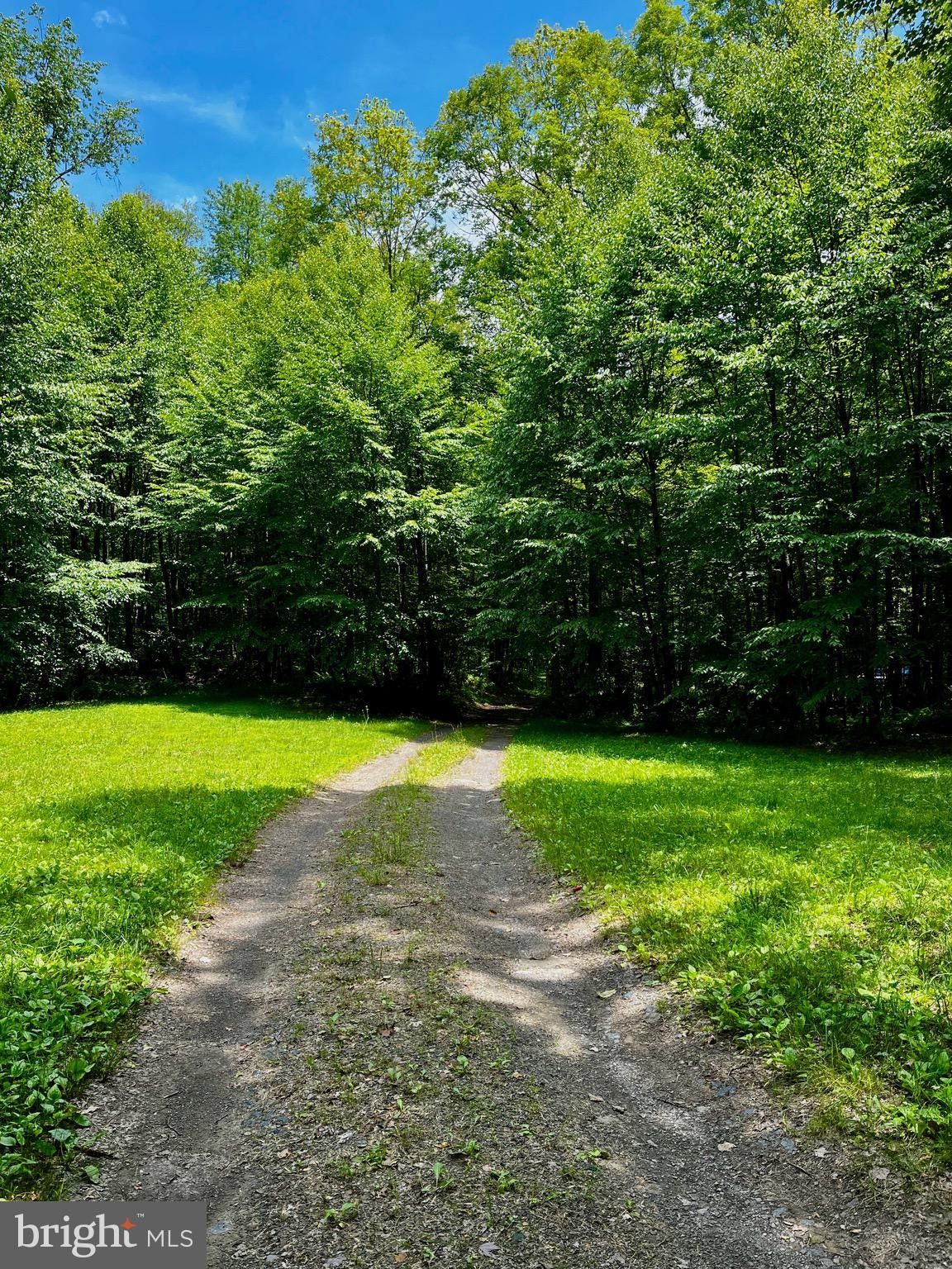 Beech Creek, Clinton County, PA Undeveloped Land for sale Property ID