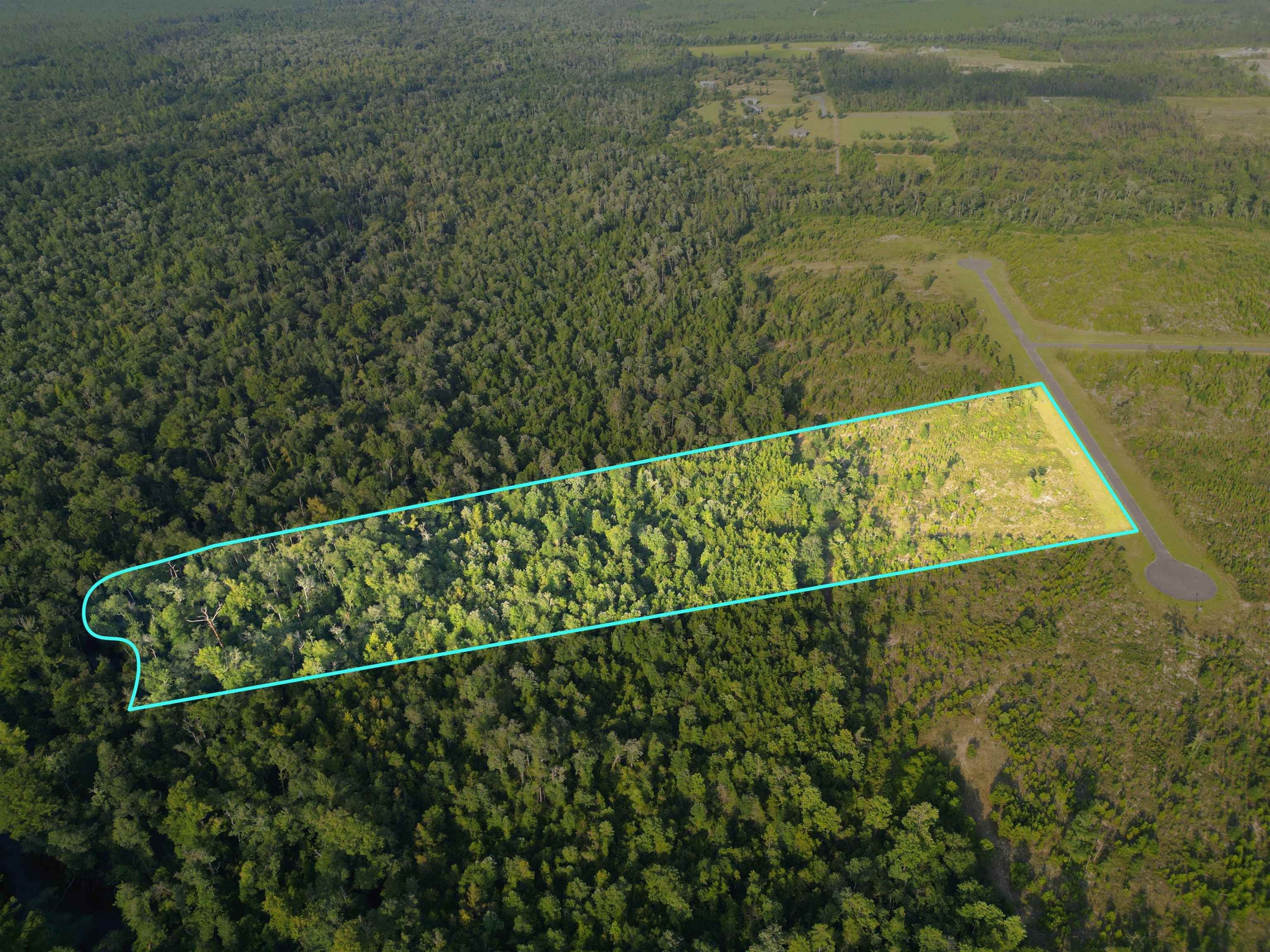 Bristol, Liberty County, FL Undeveloped Land for sale Property ID