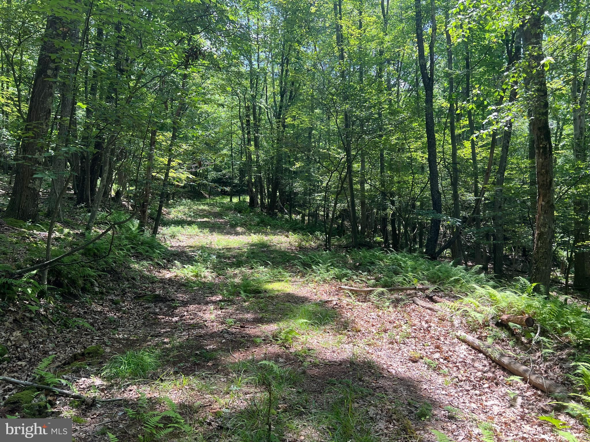 Oakland, Garrett County, MD Undeveloped Land for sale Property ID