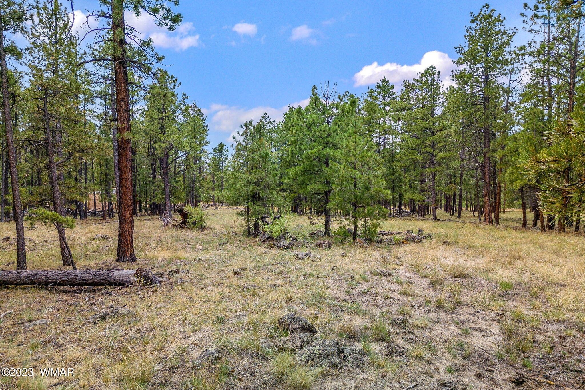 Greer, Apache County, AZ Homesites for sale Property ID 417112939
