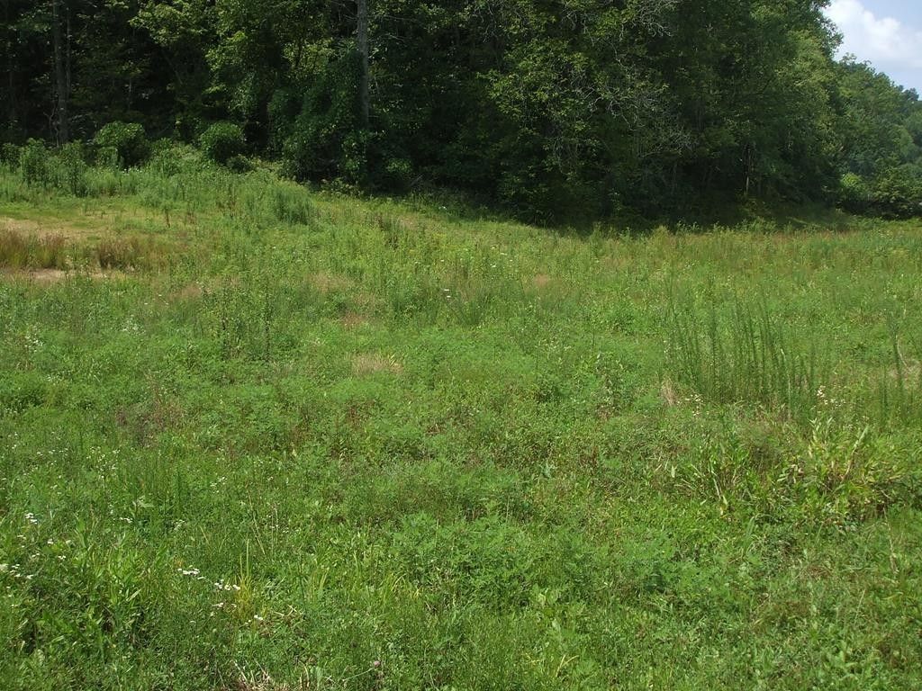 Tutor Key, Johnson County, KY Undeveloped Land for sale Property ID