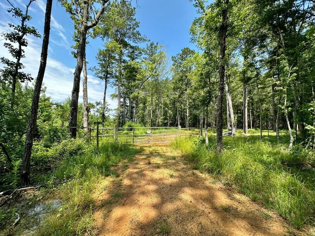 Pinola, Simpson County, MS Farms and Ranches for sale Property ID