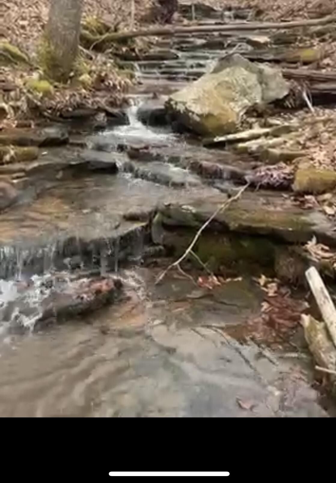 Palmer, Grundy County, TN Undeveloped Land for sale Property ID