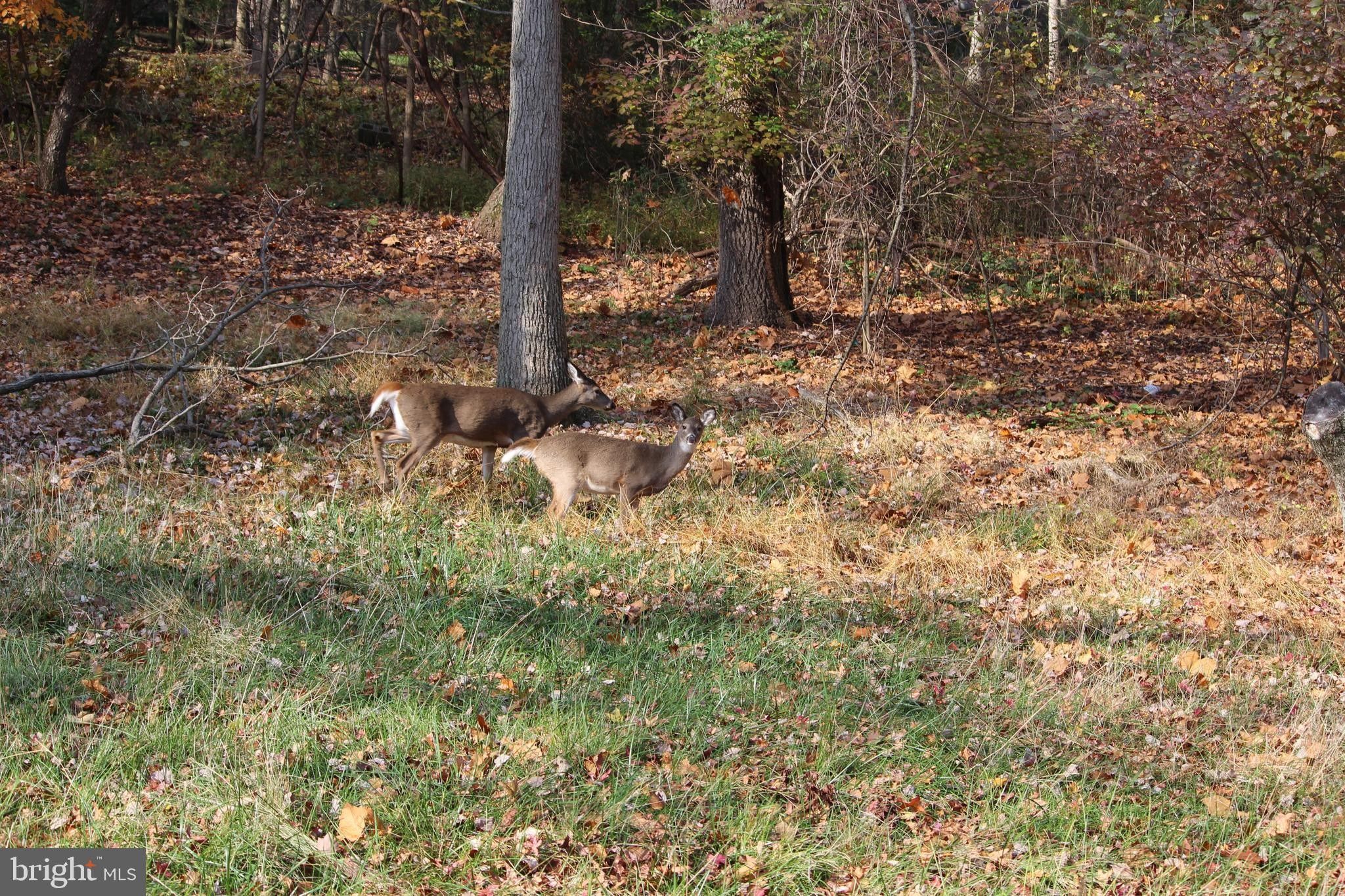 Bridgeton, Cumberland County, NJ Undeveloped Land, Homesites for sale