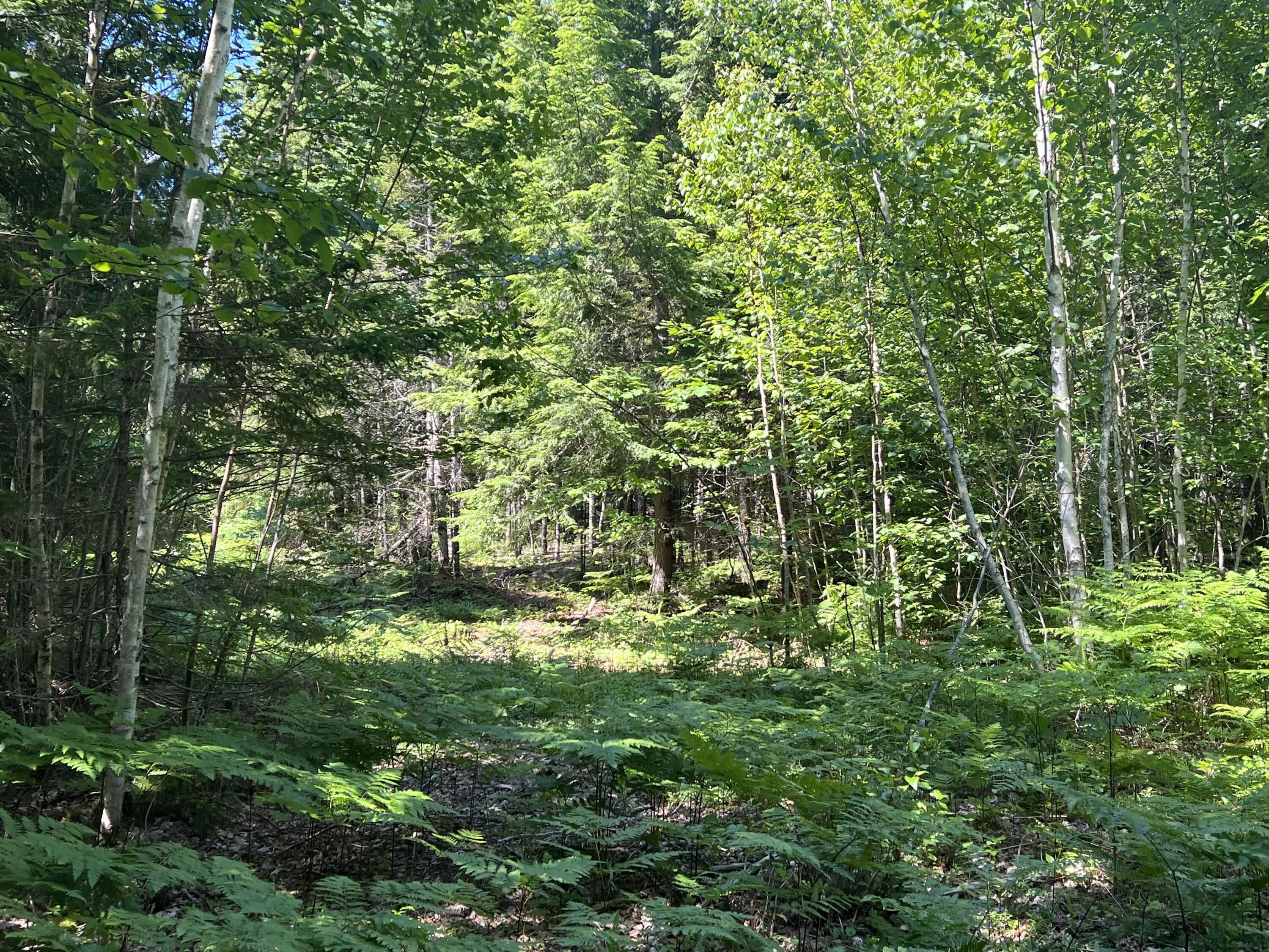 Waltham, Hancock County, ME Undeveloped Land, Lakefront Property, Waterfront Property, Homesites