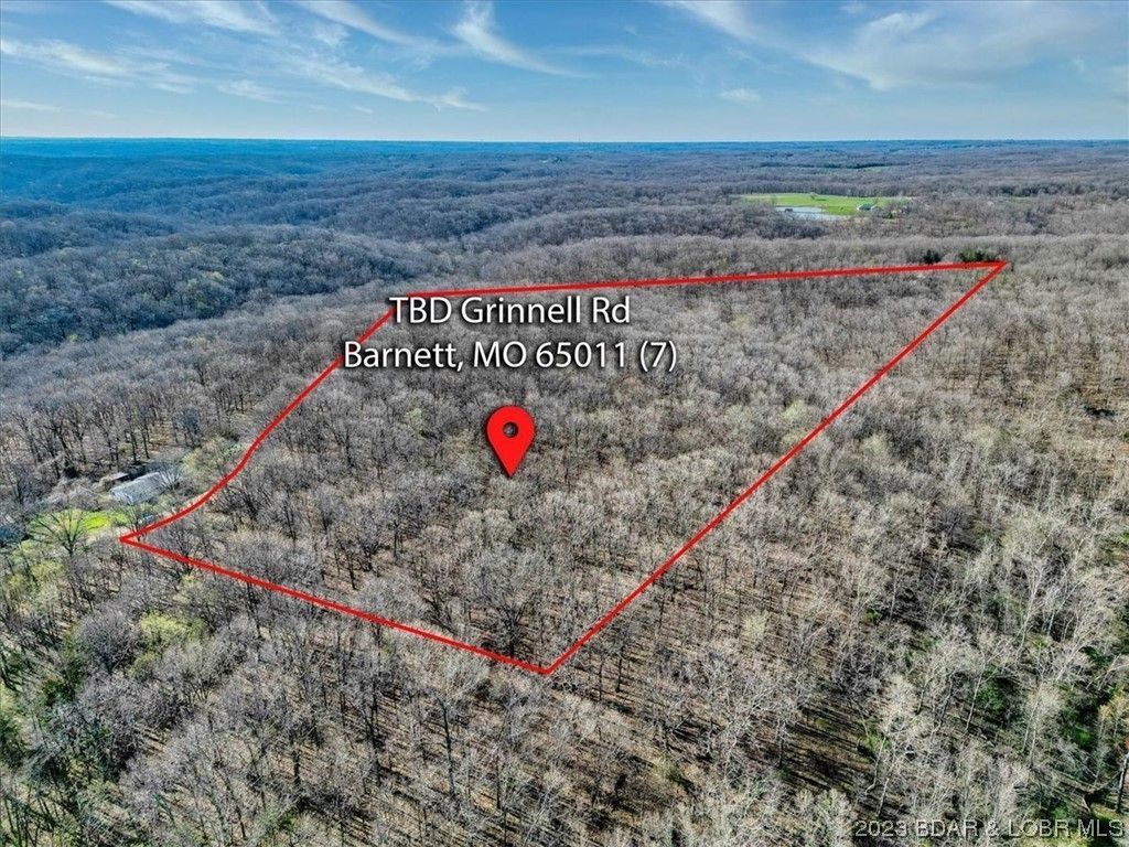 County, MO Undeveloped Land for sale Property ID