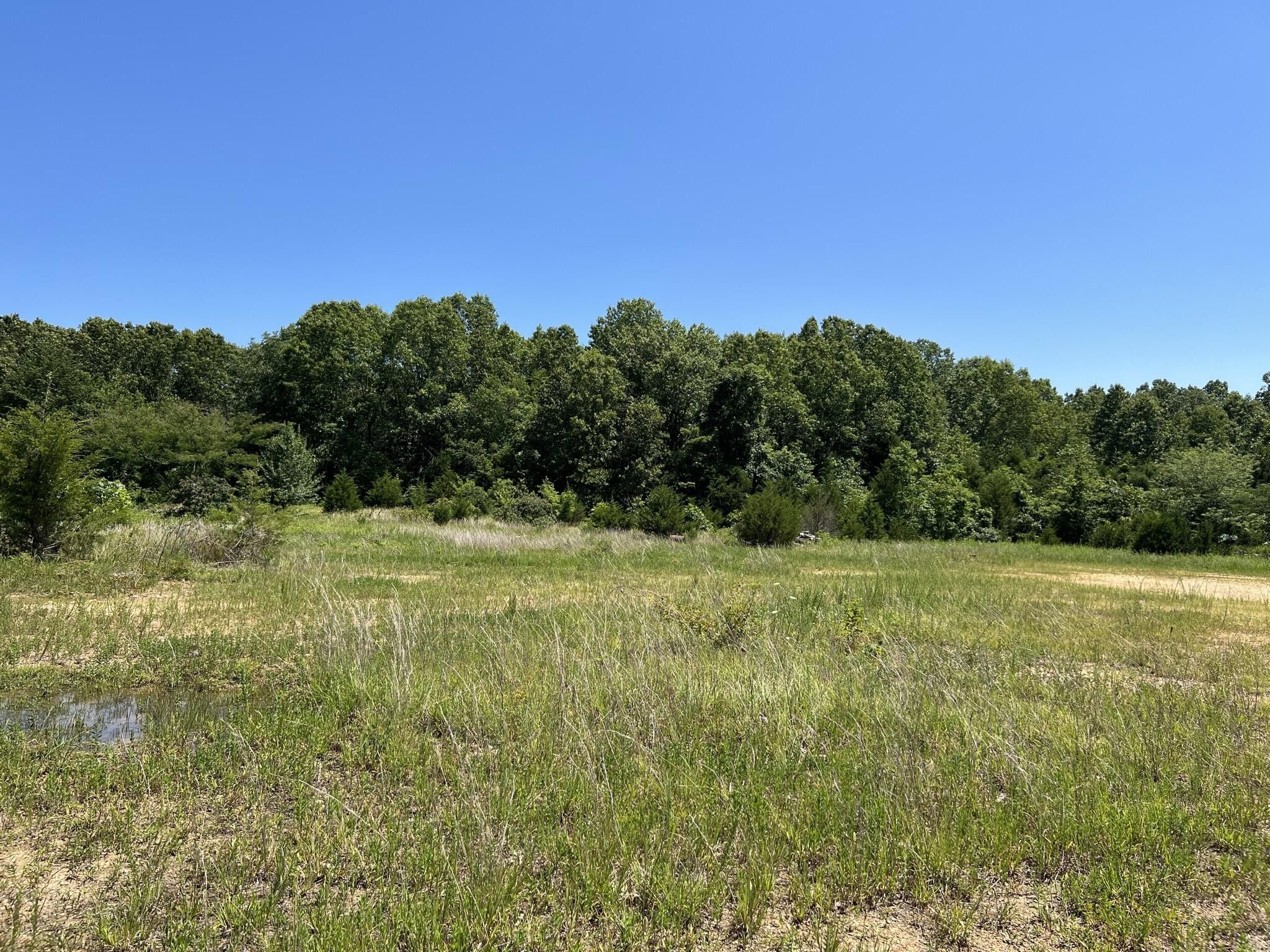 Dora, Douglas County, MO Undeveloped Land for sale Property ID