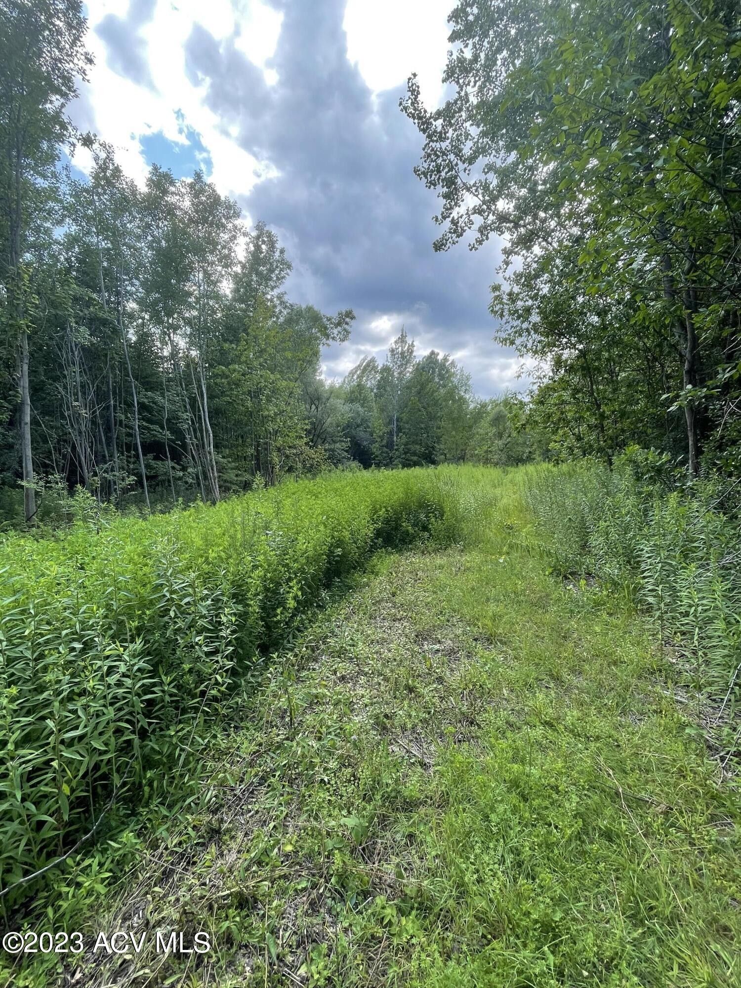 Plattsburgh, Clinton County, NY Undeveloped Land for sale Property ID