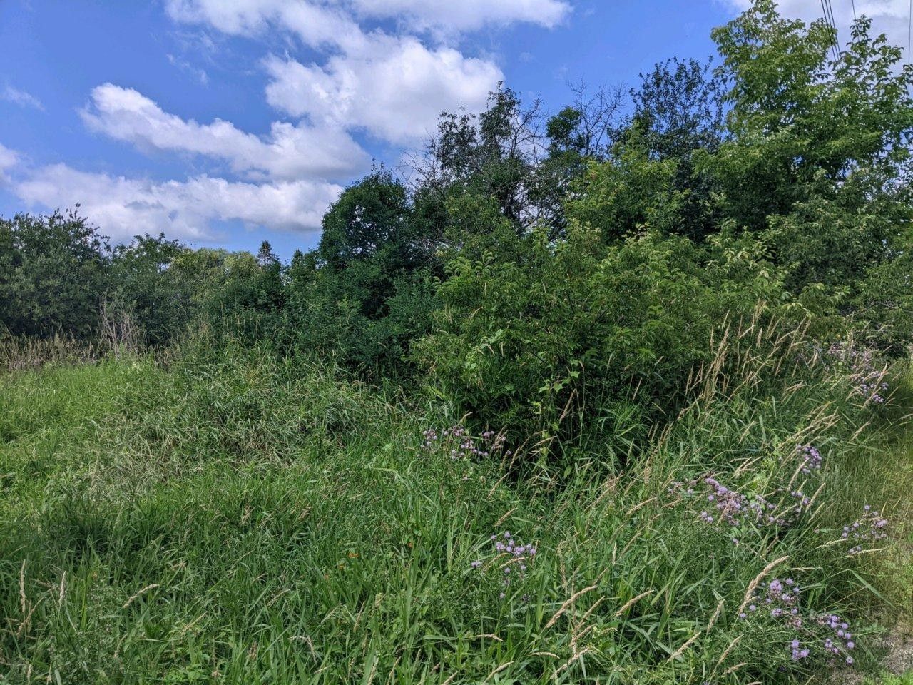 Phillips, Price County, WI Undeveloped Land, Homesites for sale