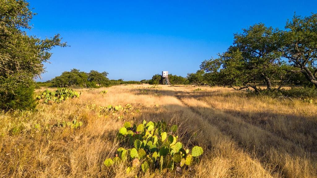 Mountain Home, Real County, TX Farms and Ranches for sale Property ID