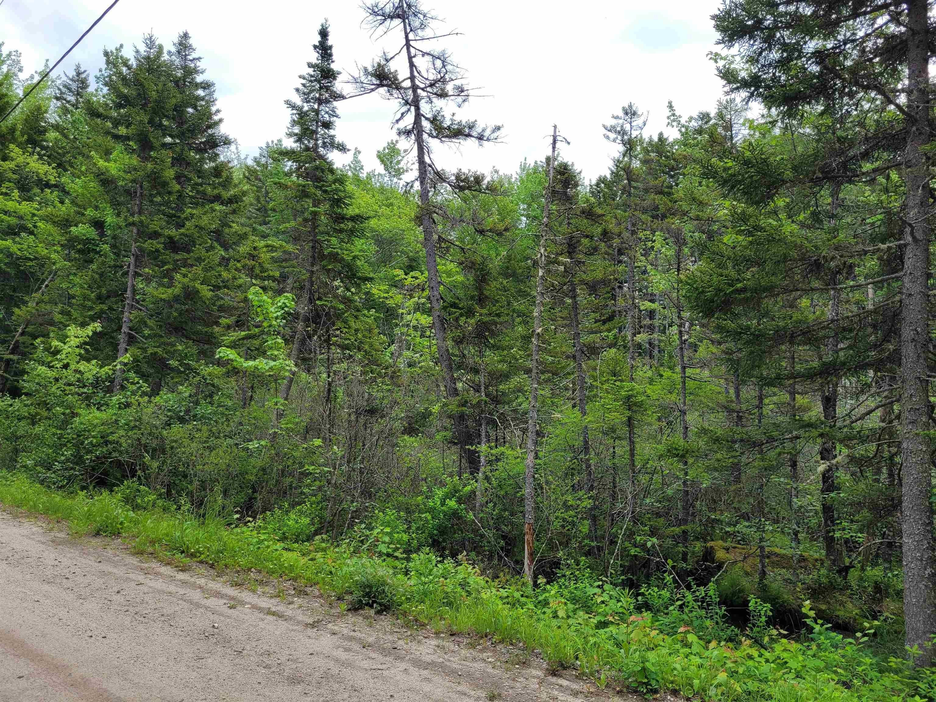 Washington, Sullivan County, NH Undeveloped Land, Homesites for sale