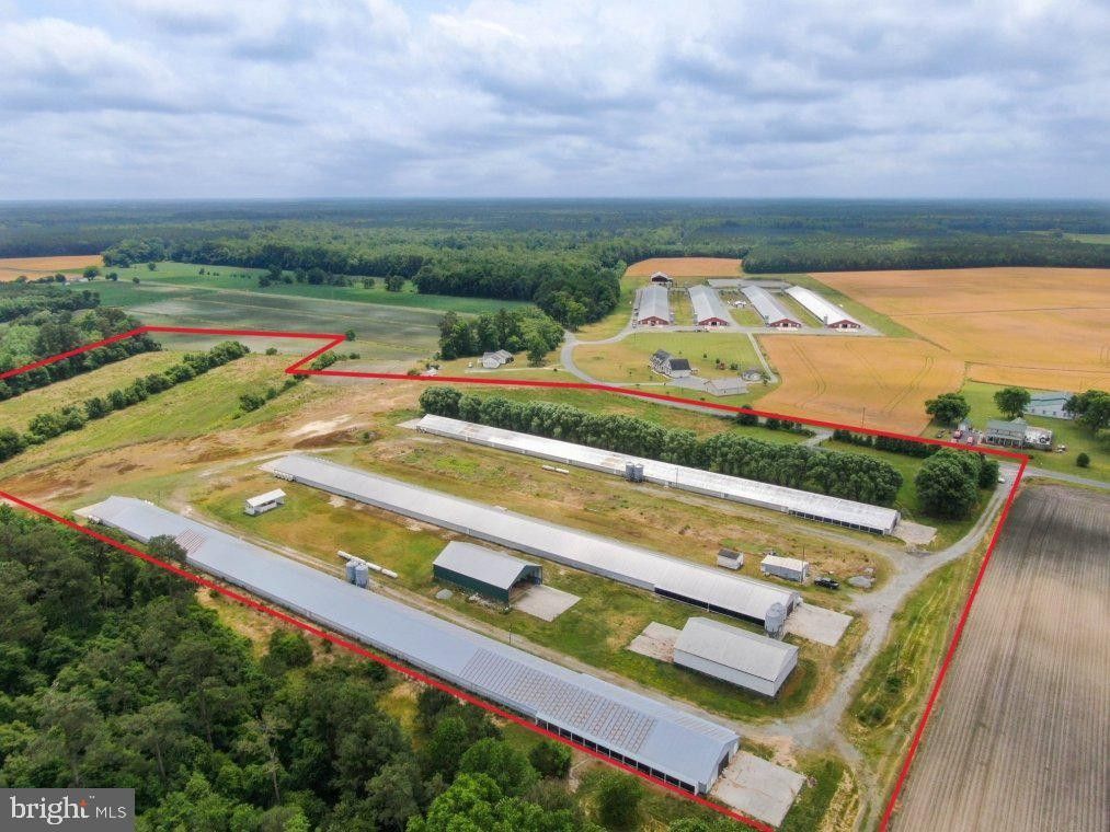 Parsonsburg, County, MD Farms and Ranches, House for sale