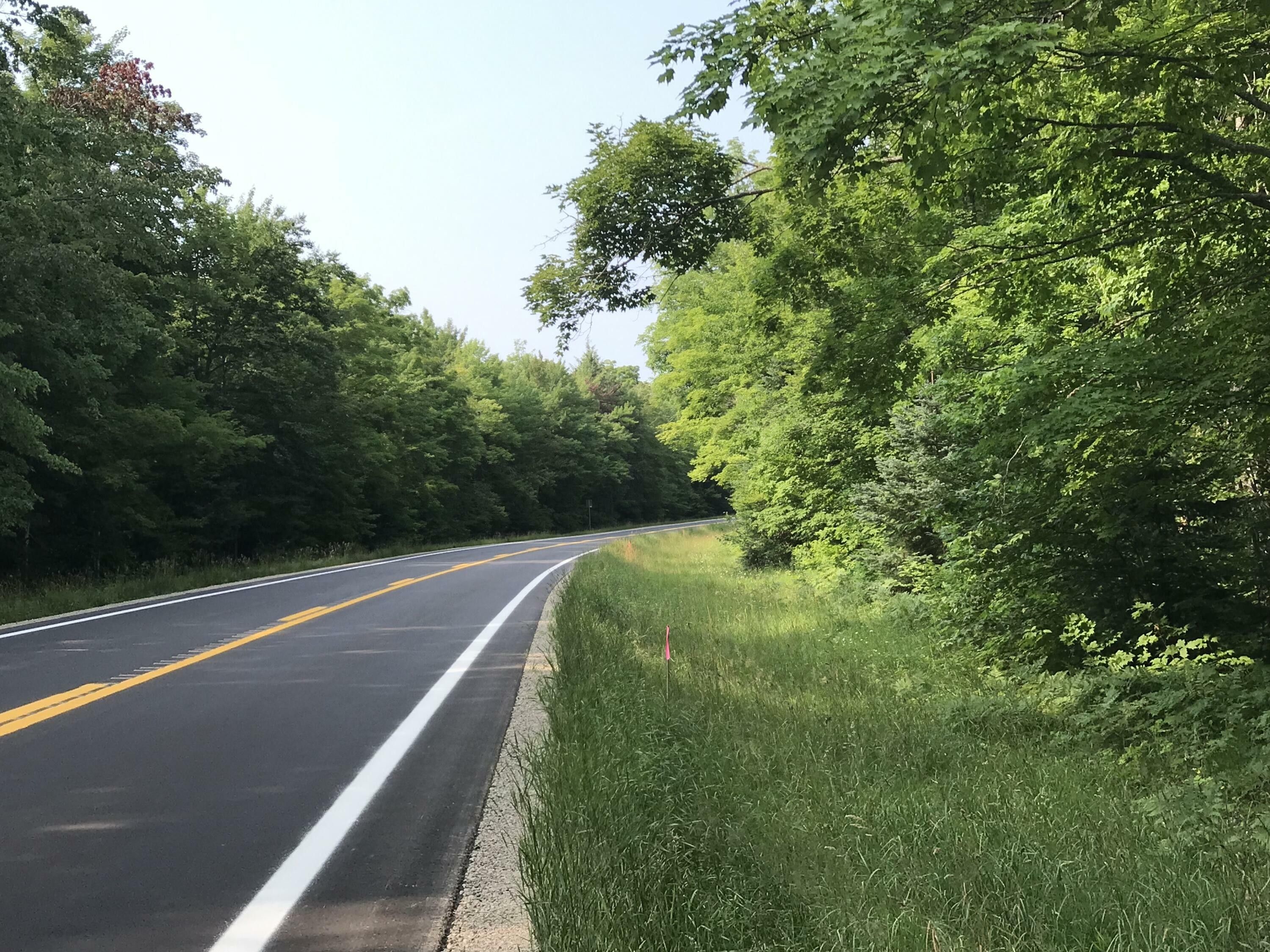 Newberry, Chippewa County, MI Undeveloped Land for sale Property ID