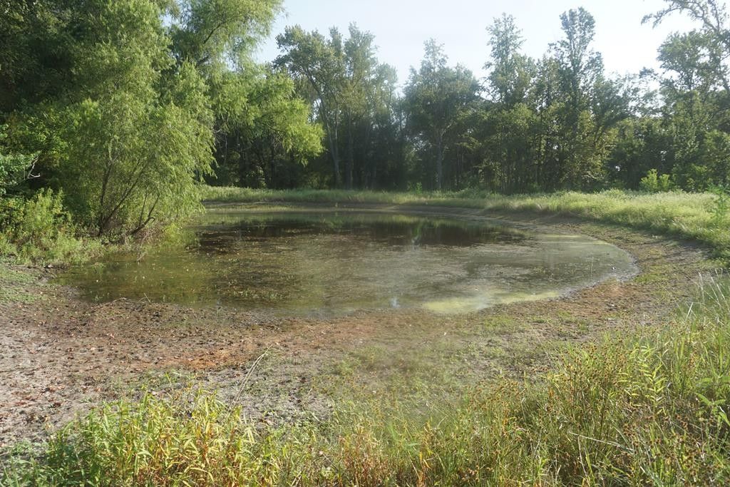 Oakwood, Leon County, TX Undeveloped Land for sale Property ID