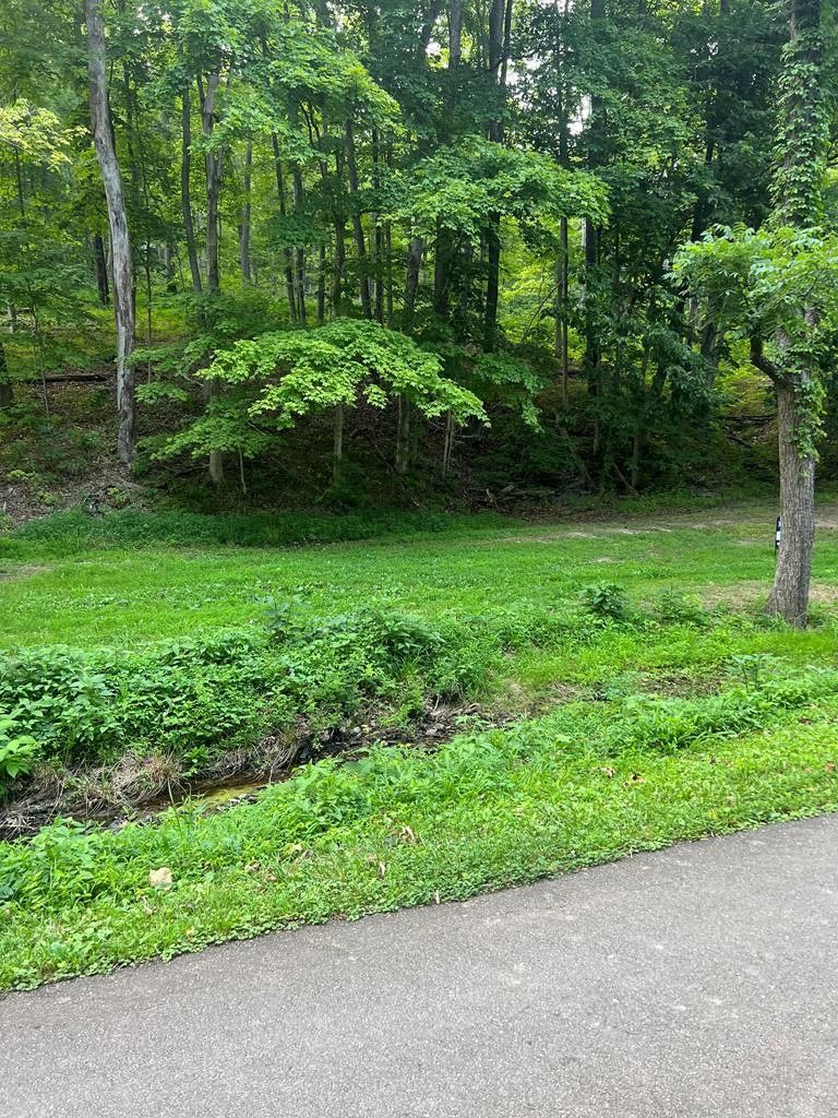 Lucasville, Scioto County, OH Undeveloped Land for sale Property ID