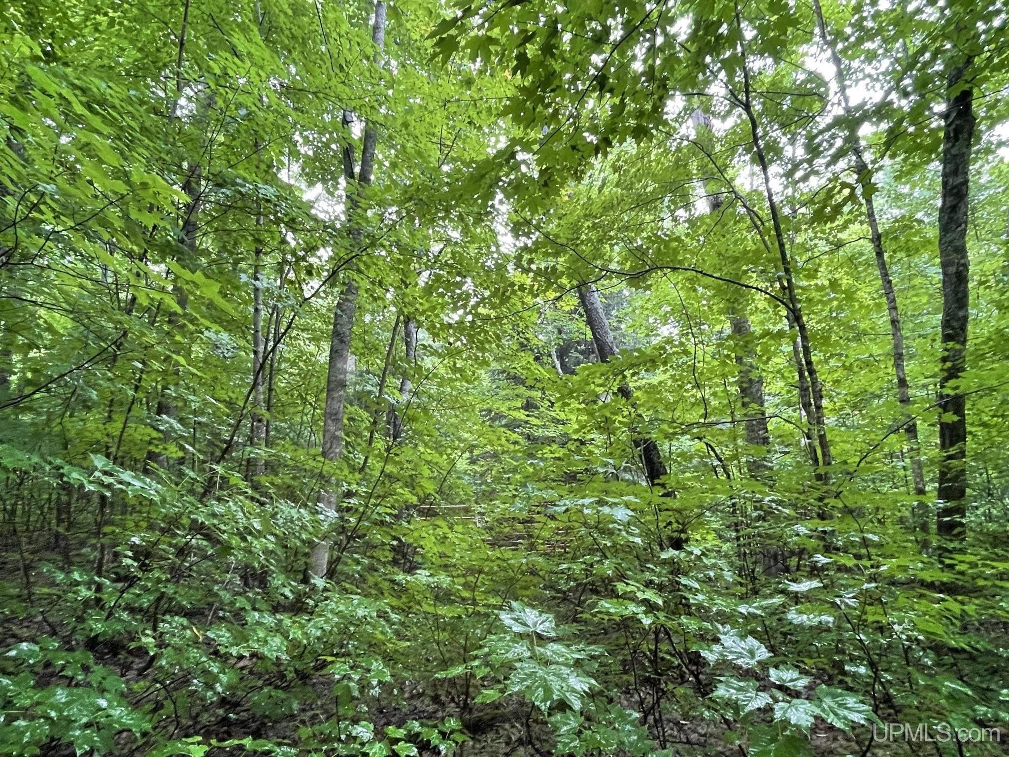 Seney, Schoolcraft County, MI Farms and Ranches, Lakefront Property