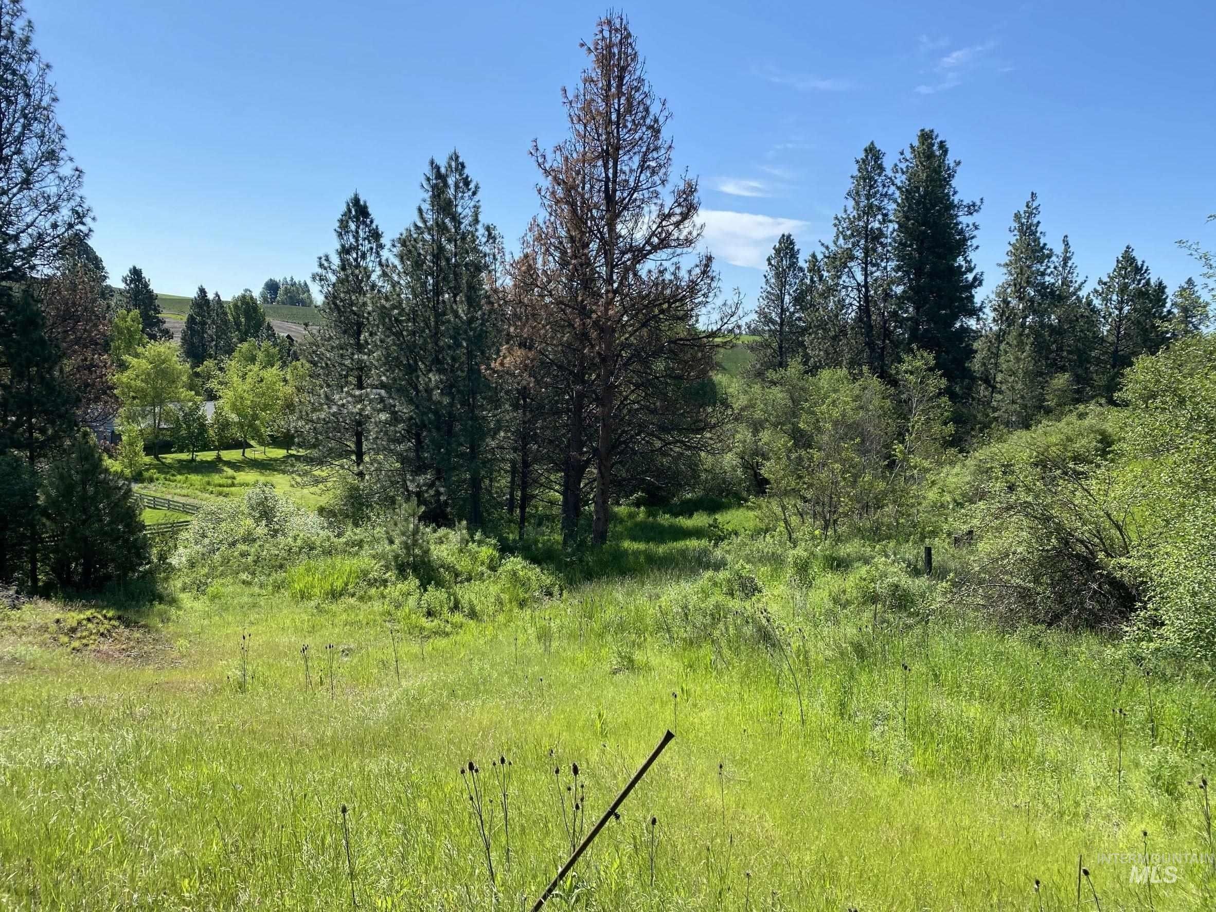 Troy, Latah County, ID Undeveloped Land, Homesites for sale Property ID