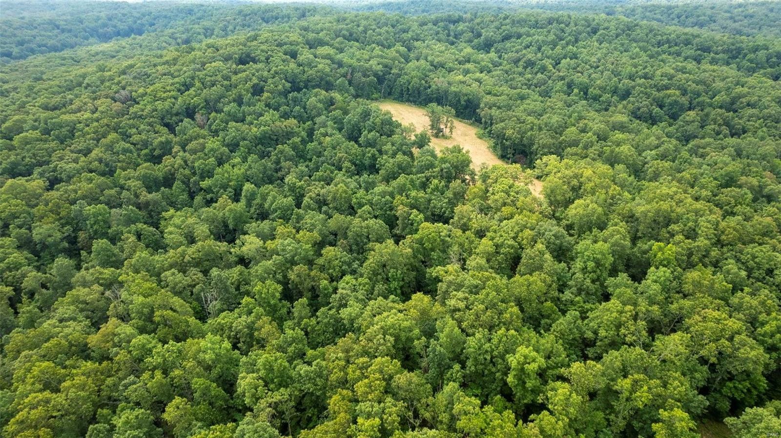 Glen Allen, Bollinger County, MO Farms and Ranches for sale Property ID