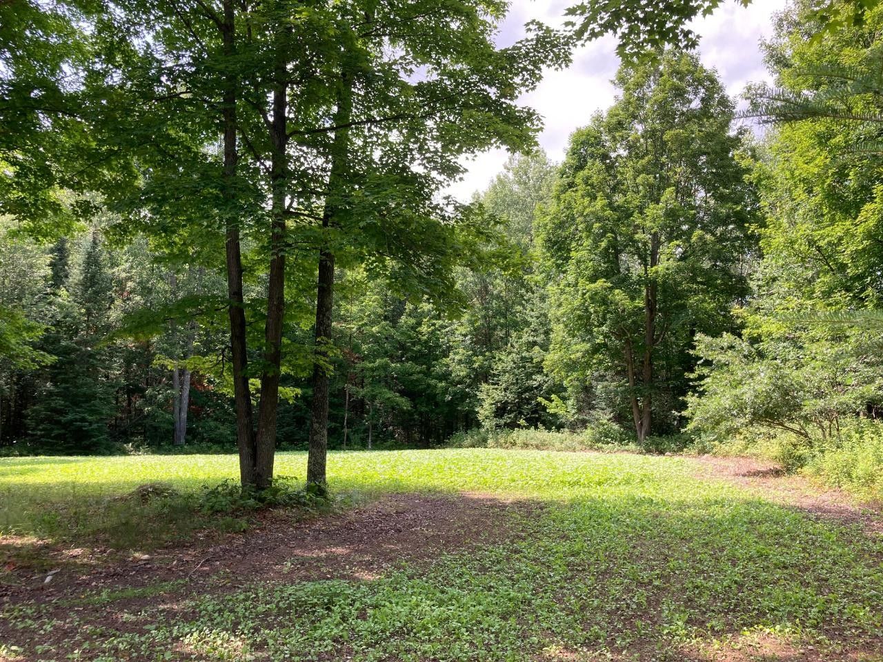 Pickerel, Forest County, WI Undeveloped Land for sale Property ID