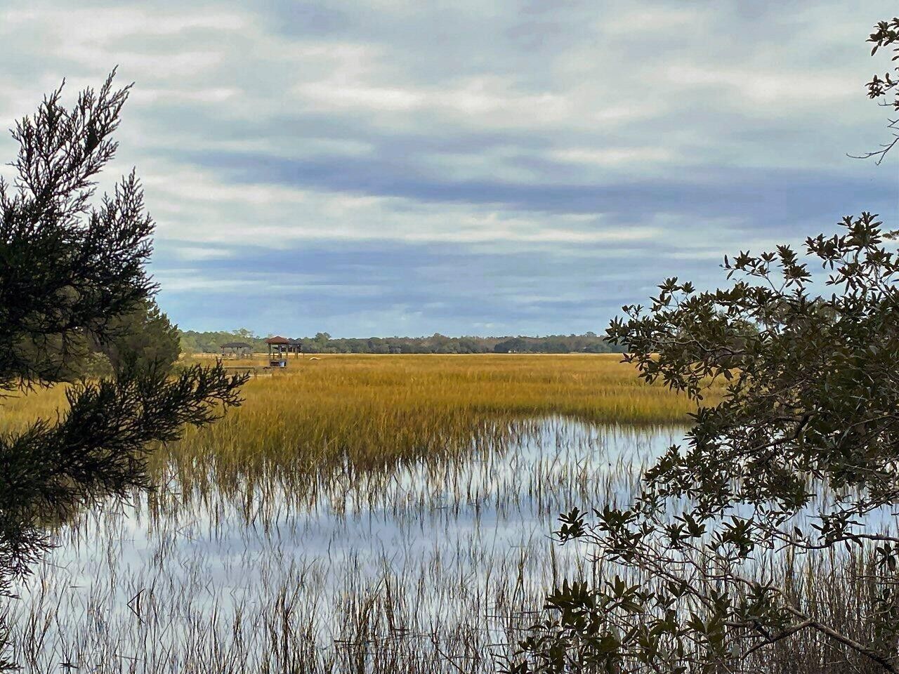 Meggett, Charleston County, SC Undeveloped Land, Lakefront Property
